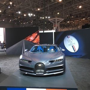 Meet your Posher, Bruce